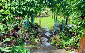 Phoenix Garden