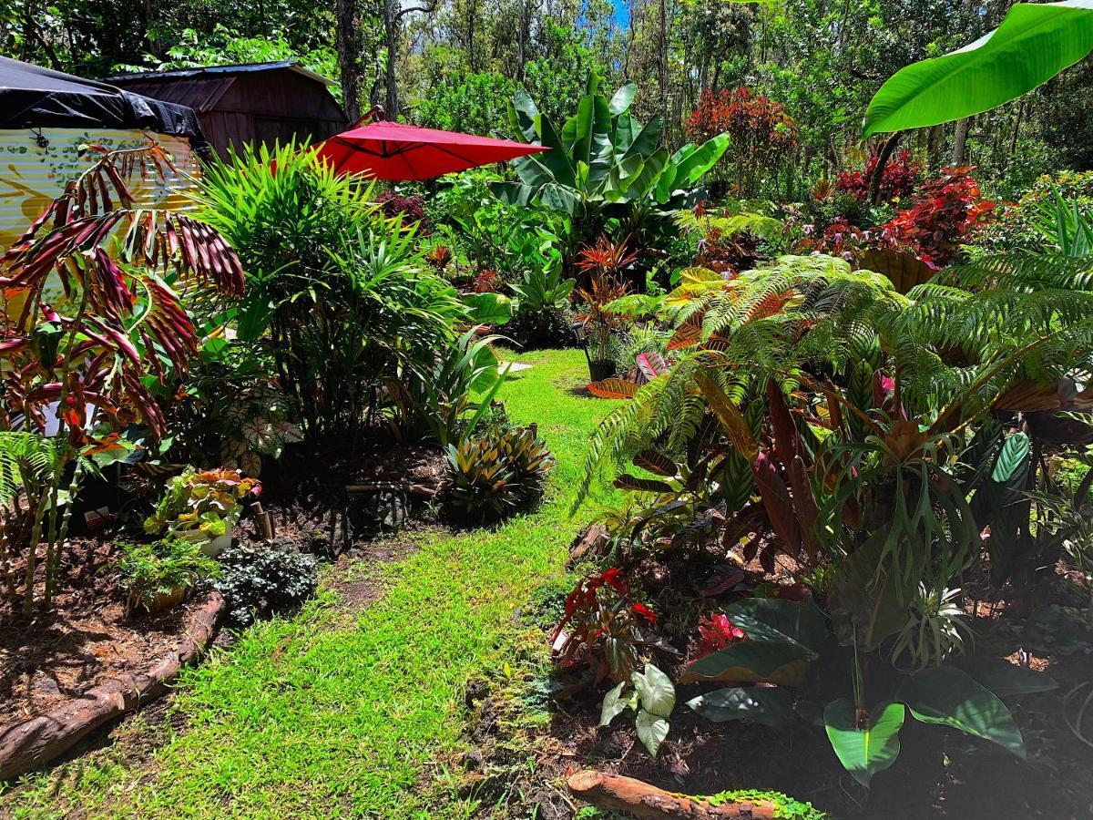 Phoenix Garden Pahoa Exteriör bild