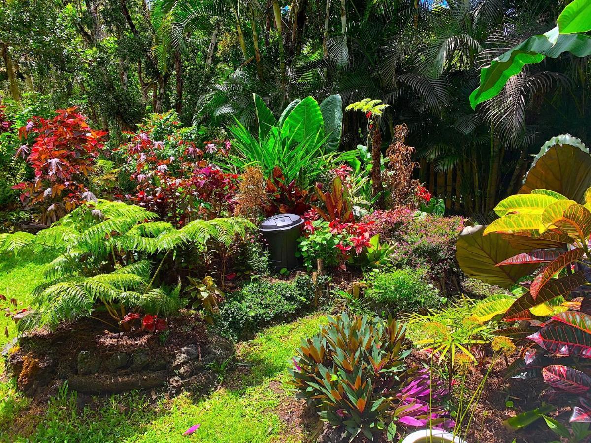 Phoenix Garden Pahoa Exteriör bild